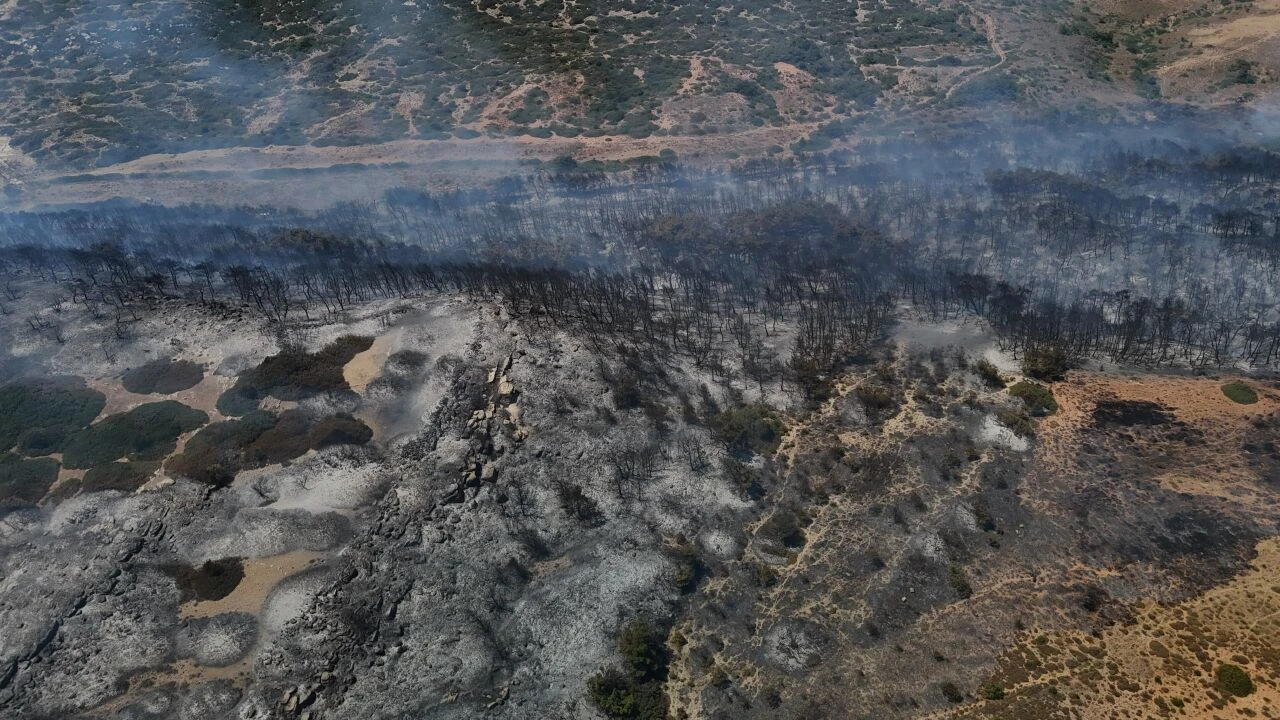 Çanakkale'nin Bozcaada ilçesinde çıkan yangın 5 saatin ardından kontrol altına alındı - 1. Resim