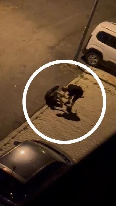 Levye ile öldüresiye dövdü, serbest bırakıldı! Yaralı genç isyan etti