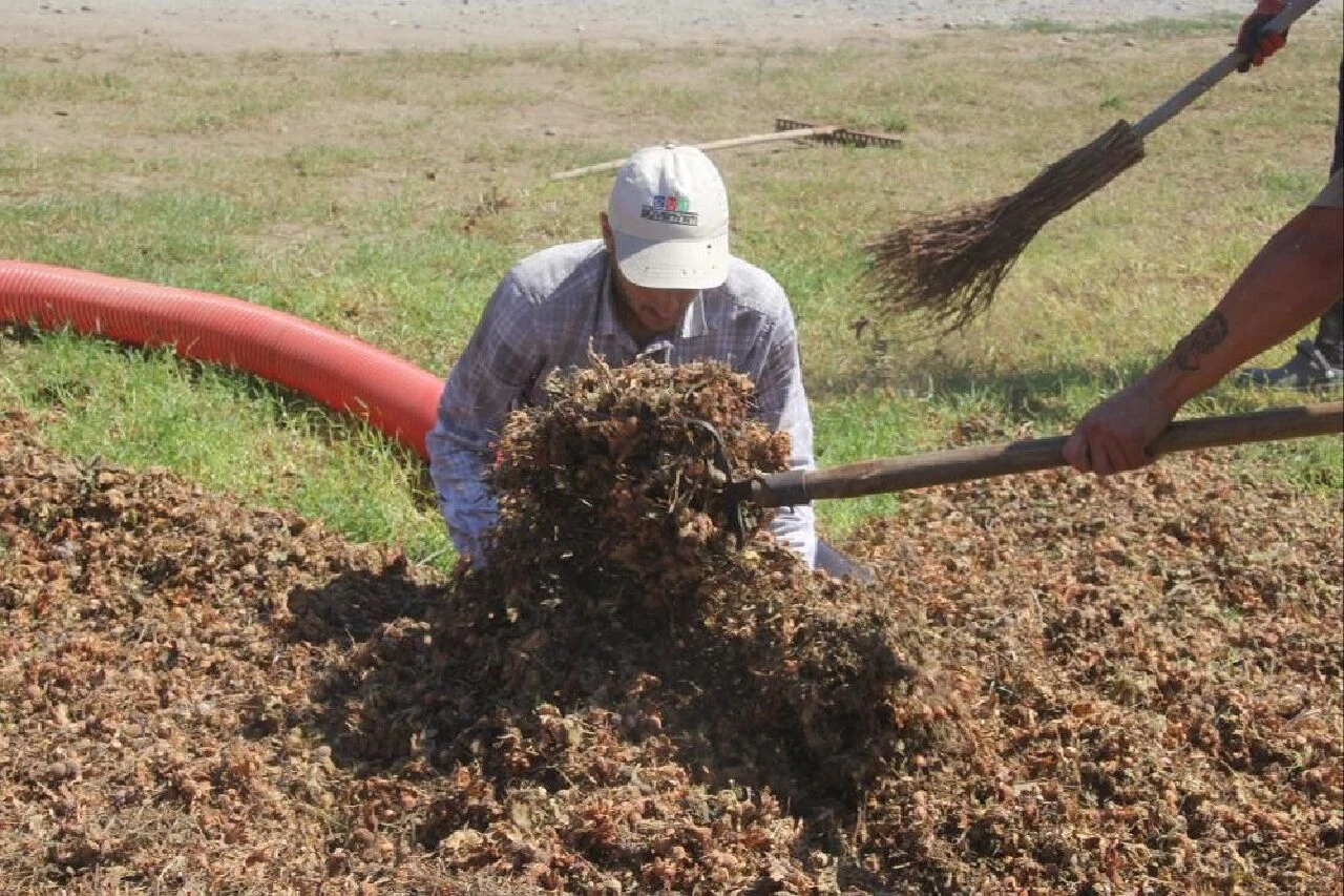 Adeta para basıyorlar! Saatte 3 bin 500 TL cepte: Sadece 1,5 ay çalışıyorlar