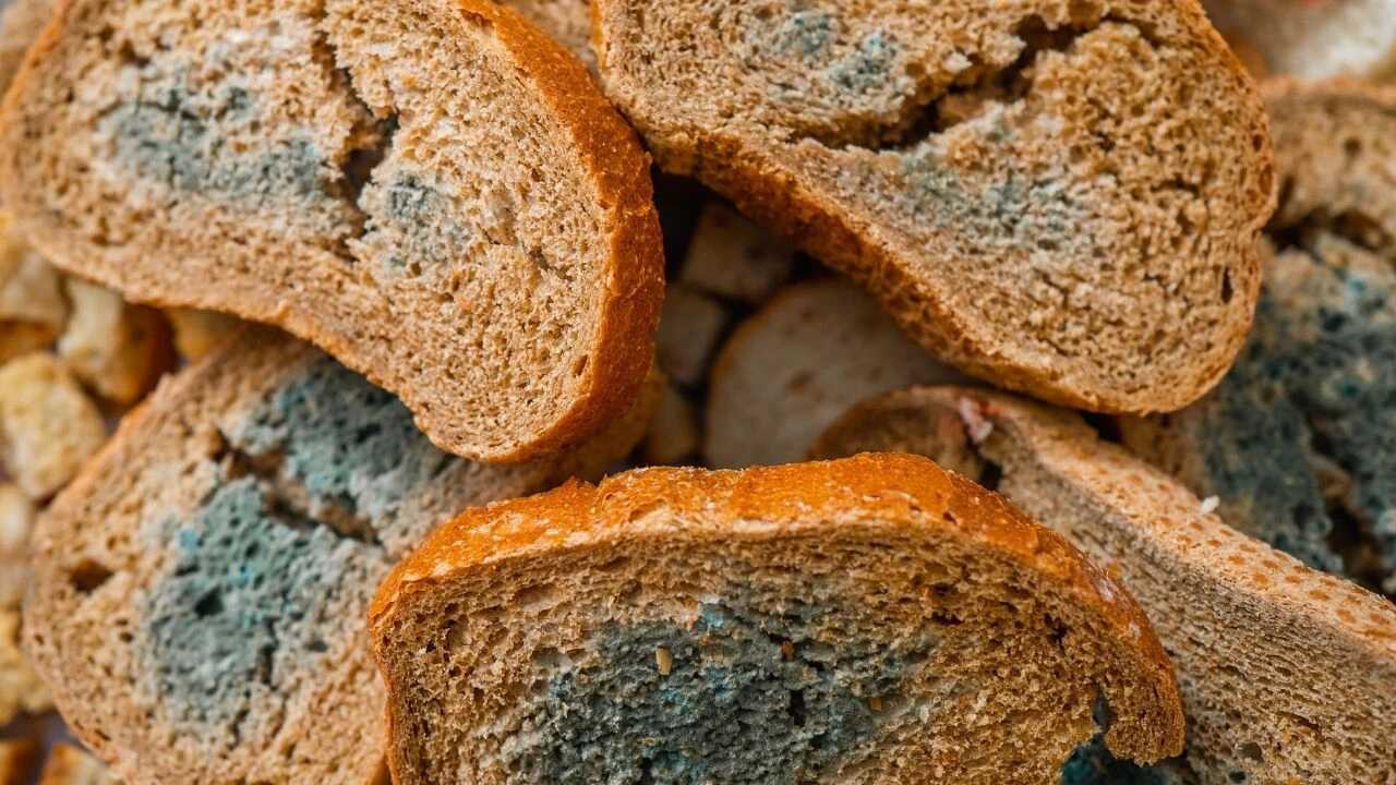 Aşırı sıcaklar bakteri ve virüsleri tetikledi! Acil servisler gıda zehirlenmeleriyle doldu taştı