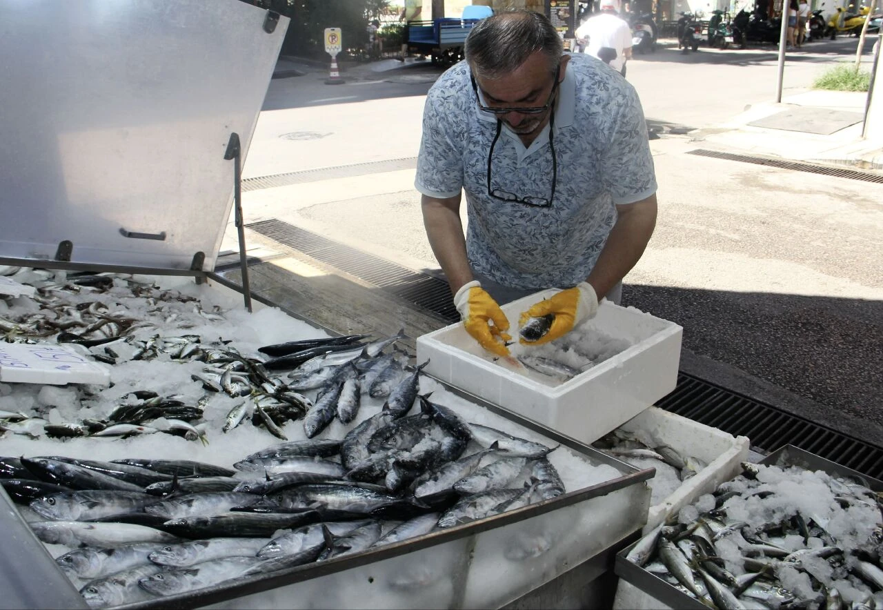 Balık sezonu 1 Eylül 2024 tarihinde başlayacak! 15 Ağustos'tan itibaren geleneksel avcılığa izin verilecek - 1. Resim