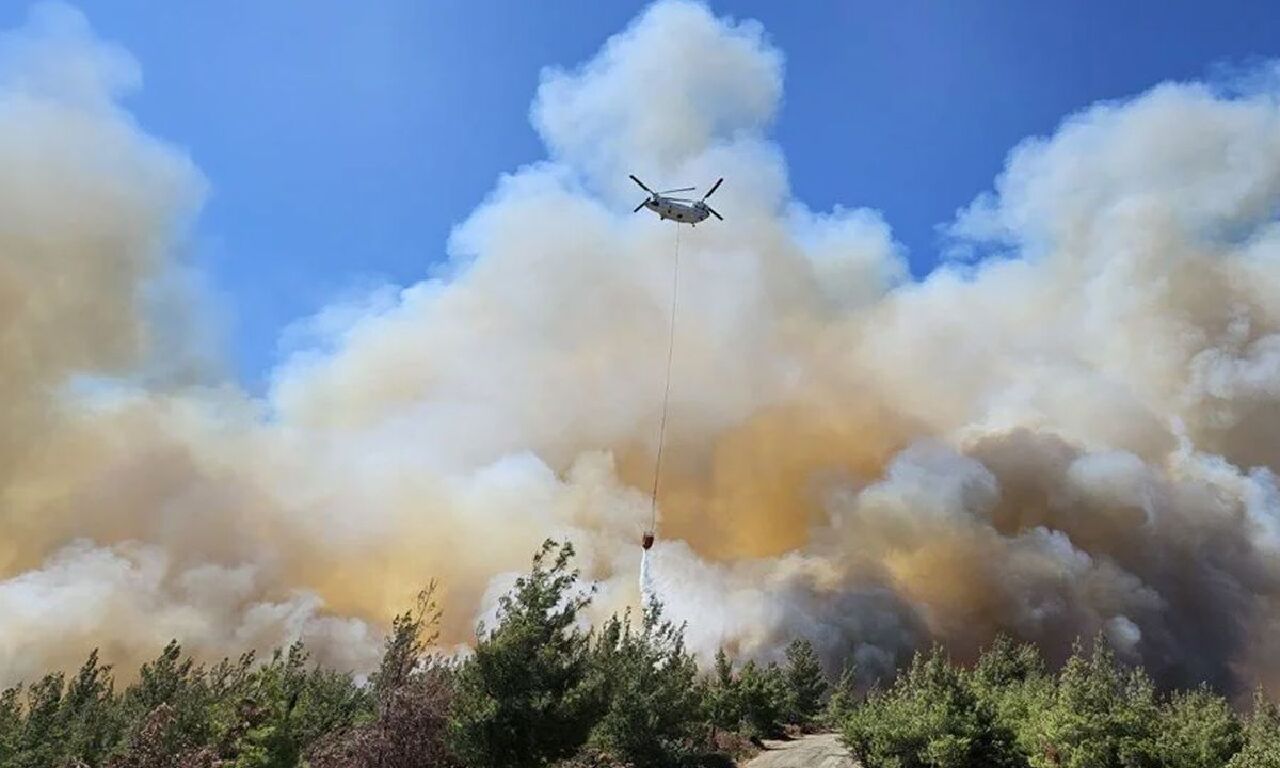 Çanakkale, Bolu ve Manisa'da orman yangını: Ekipler alevlerle canla başla mücadele ediyor - 1. Resim