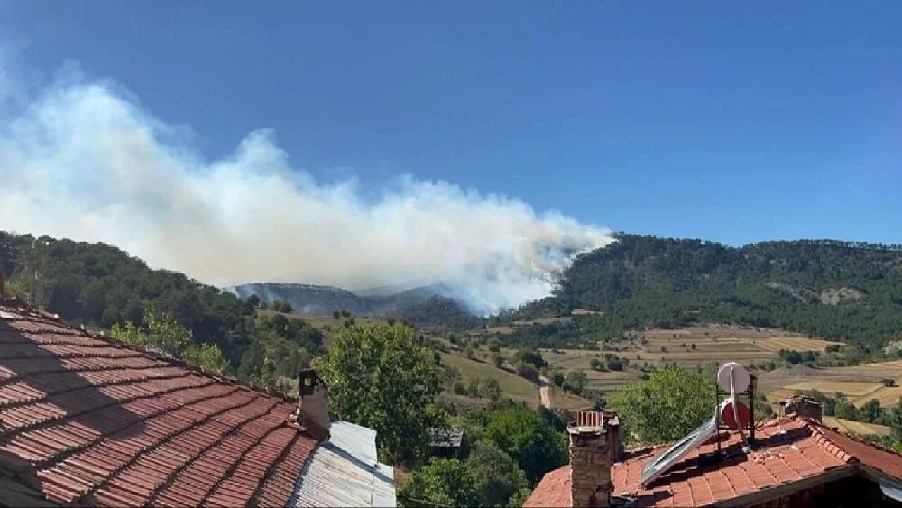 Çanakkale, Bolu ve Manisa'da orman yangını: Ekipler alevlerle canla başla mücadele ediyor - 2. Resim