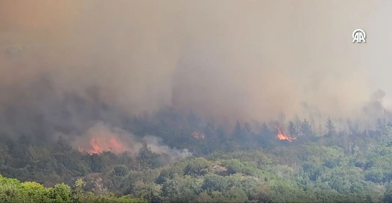 Çanakkale ve Manisa'da alevlerle mücadele! Şehitlik ve Conk Bayırı ziyarete kapatıldı