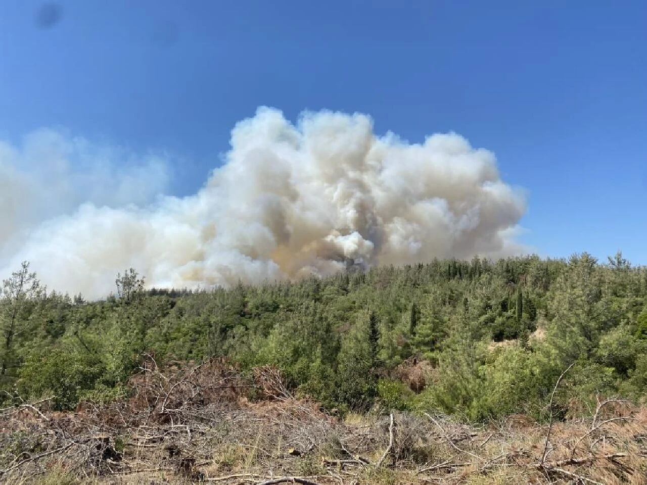 Çanakkale ve Manisa'da alevlerle mücadele! Şehitlik ve Conk Bayırı ziyarete kapatıldı