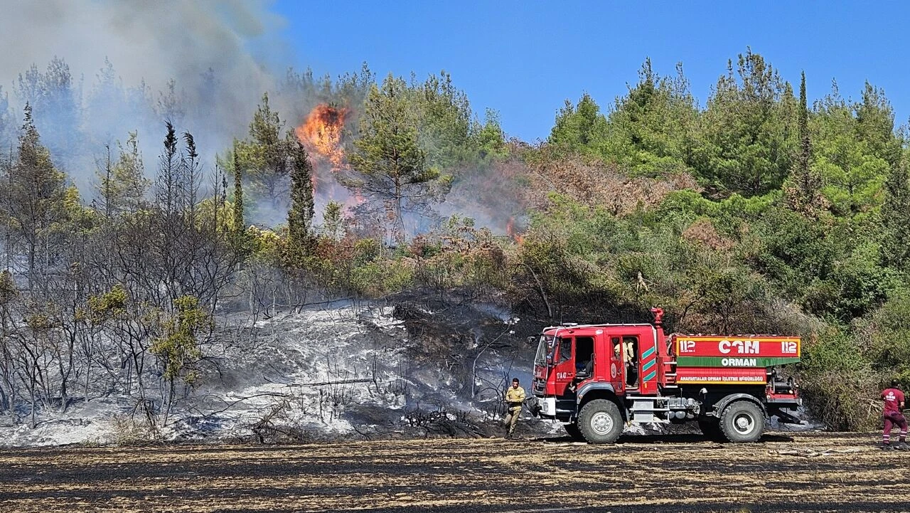 Çanakkale'nin Eceabat ilçesinde çıkan orman yangını nedeniyle 57. Alay Şehitliği ziyarete kapatıldı - 1. Resim