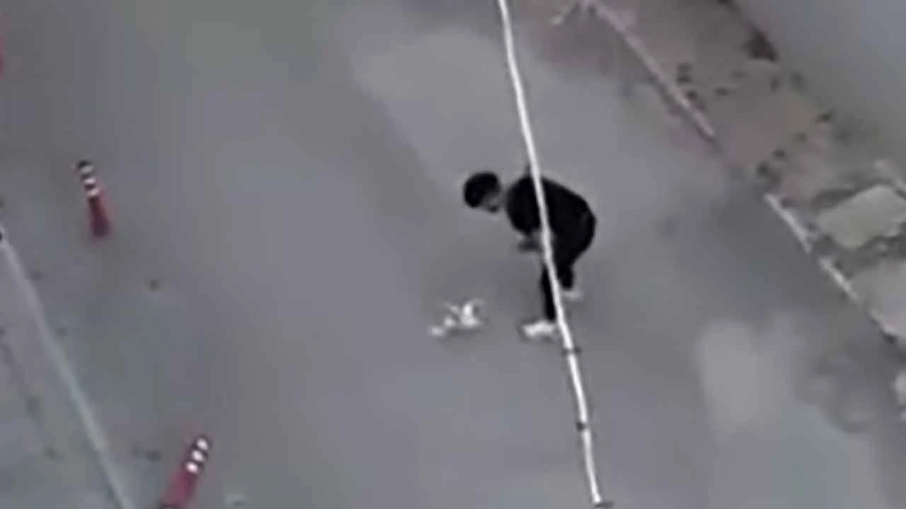 Cezaevinden çıktığı gün ortalığı birbirine kattı, yeniden gözaltına alındı - 1. Resim