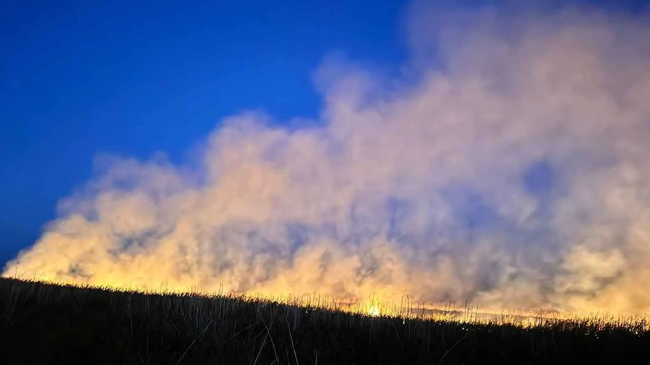 Eber Gölü’nde yangın: 9 dönüm alan kül oldu - 1. Resim
