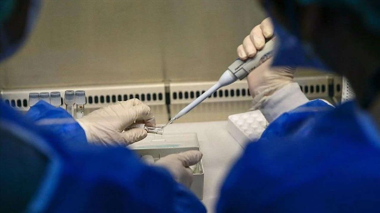 Maymun çiçeği virüsünden nasıl korunabiliriz? Yapılacakların başında mesafeyi korumak geliyor - 1. Resim