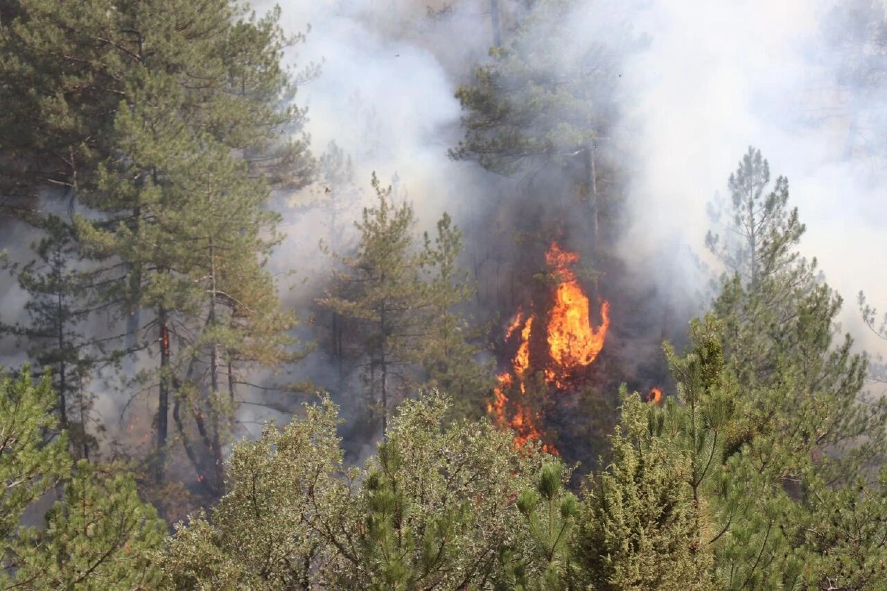 Bolu Göynük yangınında 28'inci saate girildi