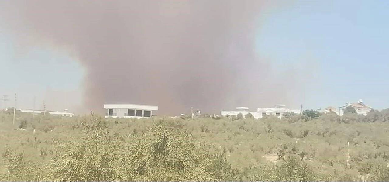 Didim'de makilik alanda yangına 2 helikopter ve 1 uçak müdahale ediyor - 1. Resim