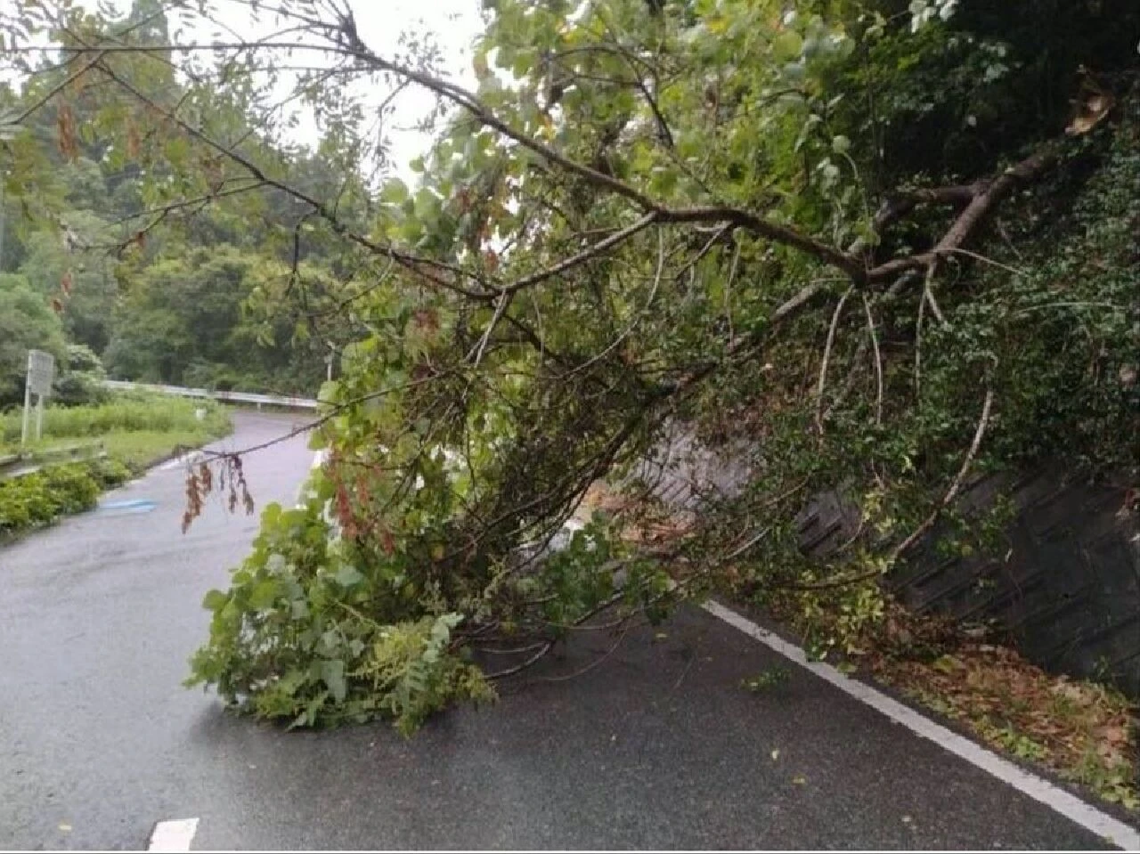 Japonya'nın üstüne kabus gibi çöktü! Marketler boş, bine yakın uçuş iptal! Alarm yine verildi
