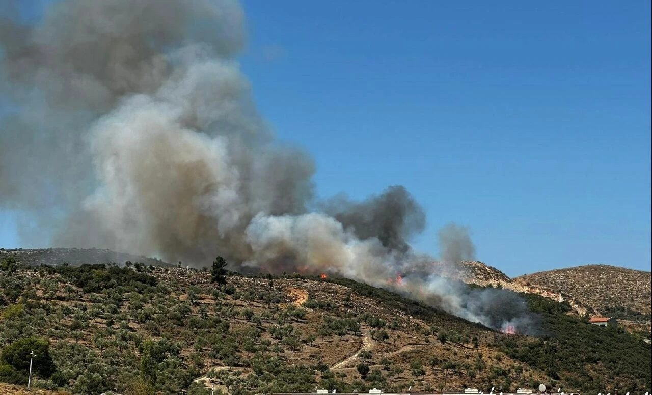 Muğla'nın Milas ilçesinde zirai alanda çıkan yangın kontrol altına alındı
