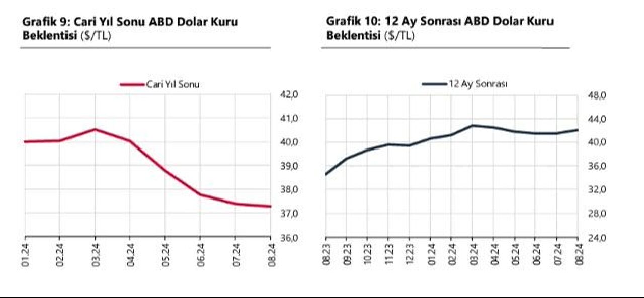 Son dakika | Merkez Bankası dolar ve enflasyon tahminini açıkladı - 1. Resim