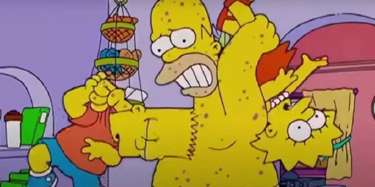 The Simpsons'ta dikkat çeken maymun çiçeği virüsü sahnesi! Maymunla oynadıktan sonra - 3. Resim