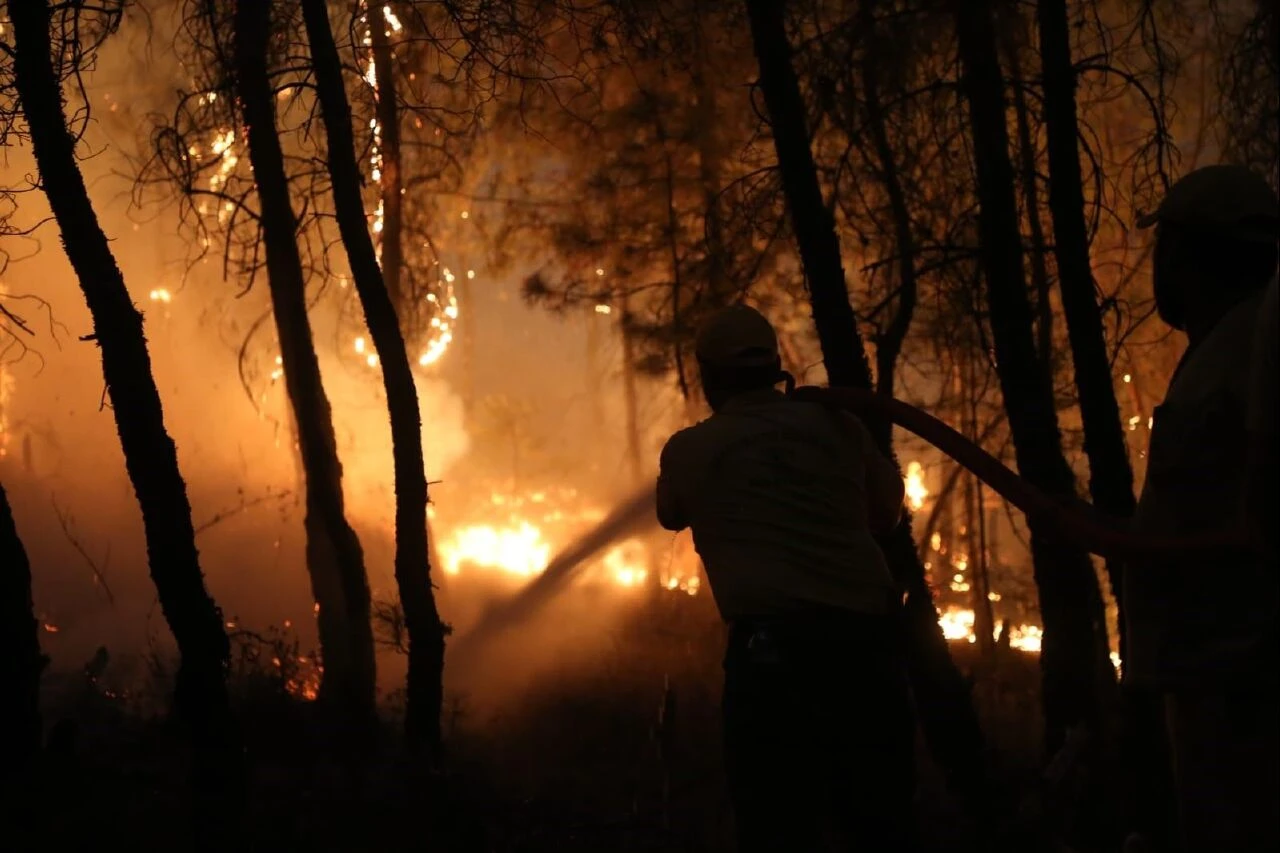 İzmir'de 5 gün süren yangının çıkış nedeni belli oldu!
