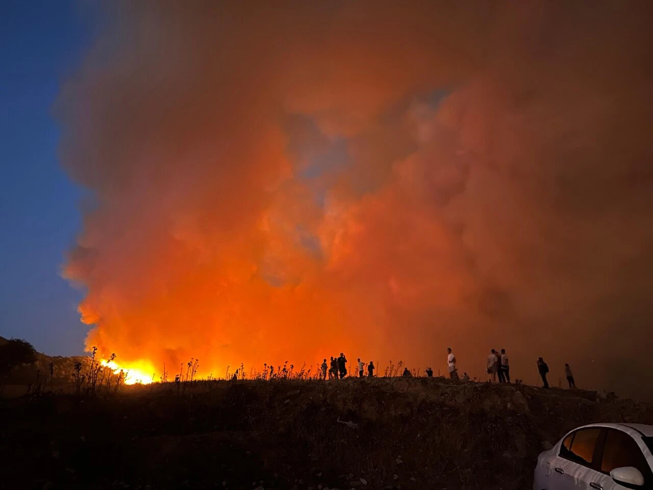 İzmir'de 5 gün süren yangının çıkış nedeni belli oldu!