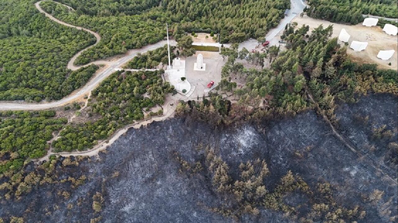 Orman yangınından tarih çıktı! Çanakkale Savaşı'ndan kalma patlamamış top mermisi paniğe neden oldu - 3. Resim