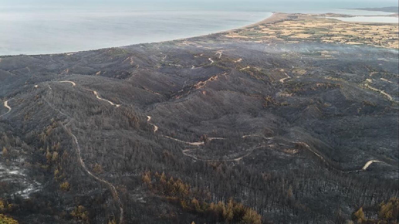 Orman yangınından tarih çıktı! Çanakkale Savaşı'ndan kalma patlamamış top mermisi paniğe neden oldu - 2. Resim