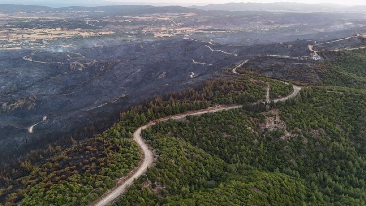 Orman yangınından tarih çıktı! Çanakkale Savaşı'ndan kalma patlamamış top mermisi paniğe neden oldu - 1. Resim