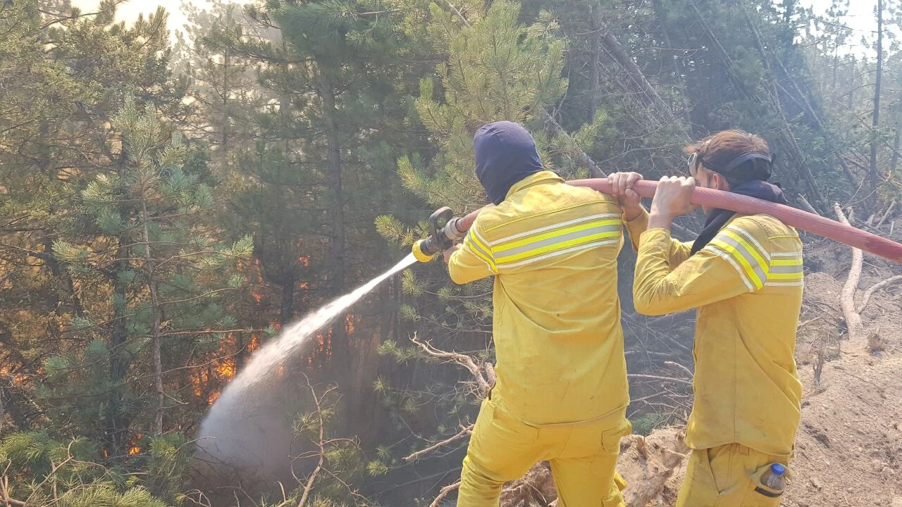 Rüzgar orman yangınlarının seyrini değiştirdi! Karabük'te havadan karadan müdahale