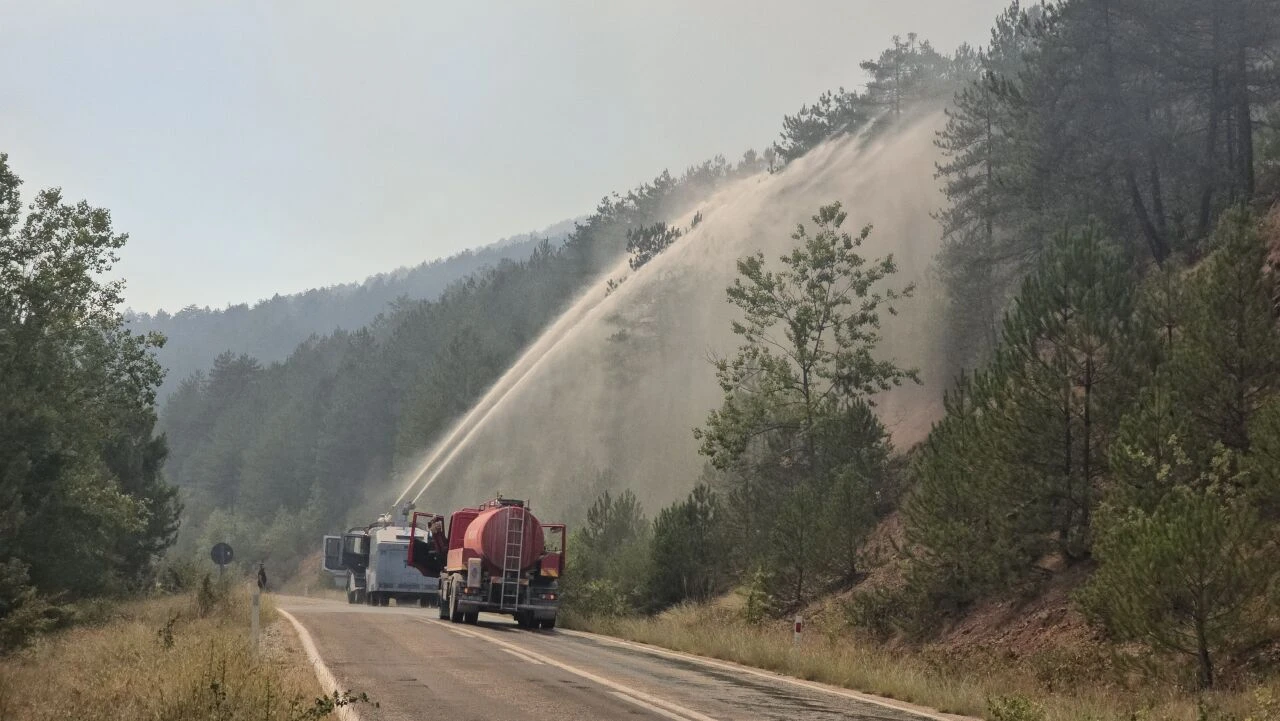 Rüzgar orman yangınlarının seyrini değiştirdi! Karabük'te havadan karadan müdahale