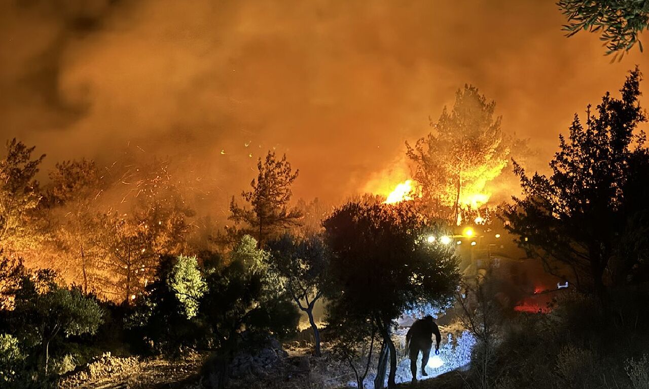 İzmir, Bolu, Muğla, Manisa... Ciğerlerimiz alev alev yanıyor | Orman yangınlarında son durum - 2. Resim