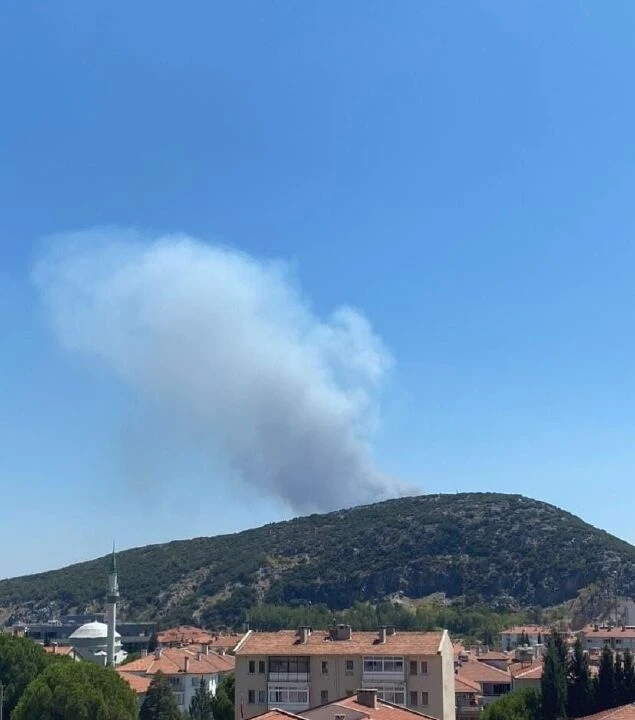 Muğla Menteşe ve Yatağan'da eş zamanlı çıkan yangınlar kontrol altına alınmaya çalışılıyor - 2. Resim