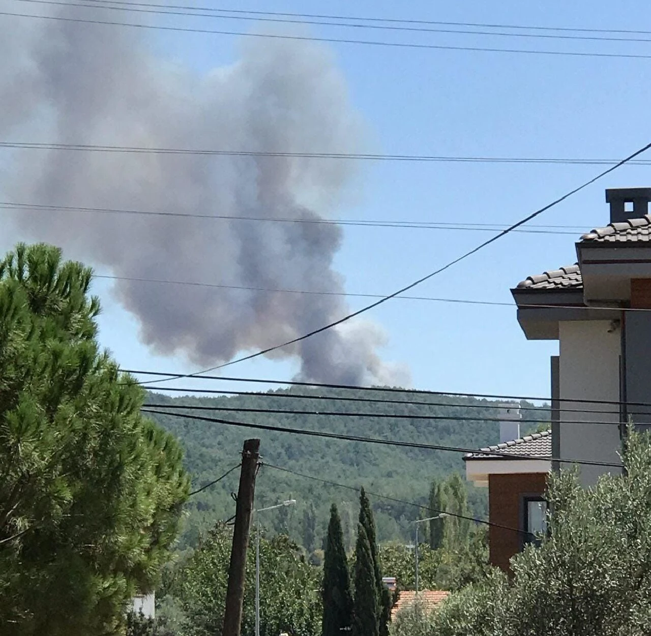 Muğla Menteşe ve Yatağan'da eş zamanlı çıkan yangınlar kontrol altına alınmaya çalışılıyor - 1. Resim