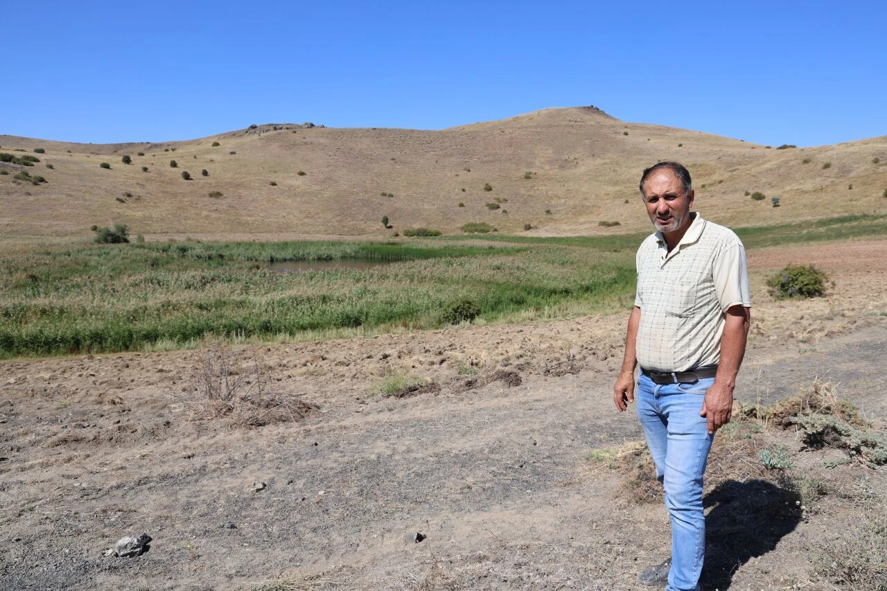 Görenleri şaşkına çeviriyor! On binlerce kilometre öteden geldi, tüm köyü kapladı