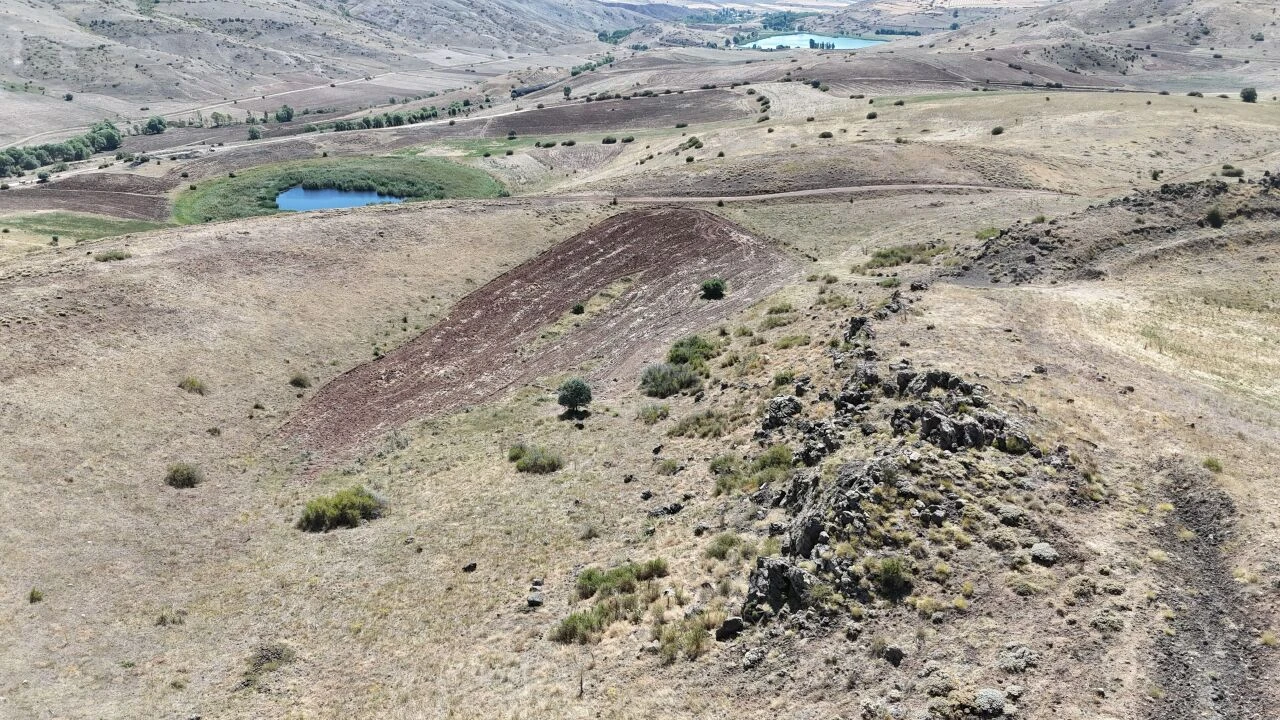 Görenleri şaşkına çeviriyor! On binlerce kilometre öteden geldi, tüm köyü kapladı