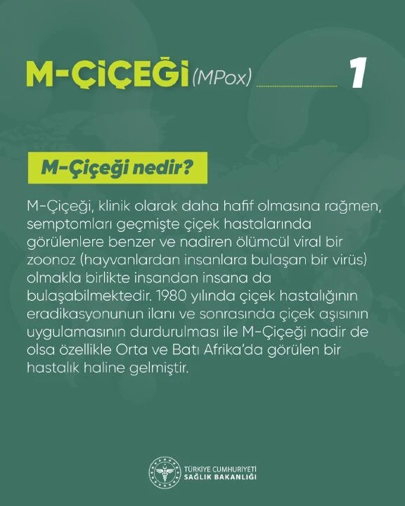 11 soruda ‘Maymun Çiçeği’ virüsü: Semptomlar, yayılma yolları ve korunma yöntemleri