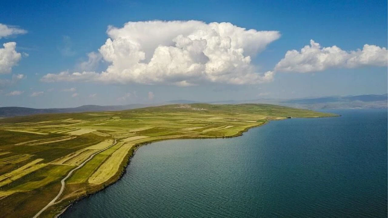Çıldır Gölü, alg patlaması nedeniyle yeşil rengine döndü - 2. Resim
