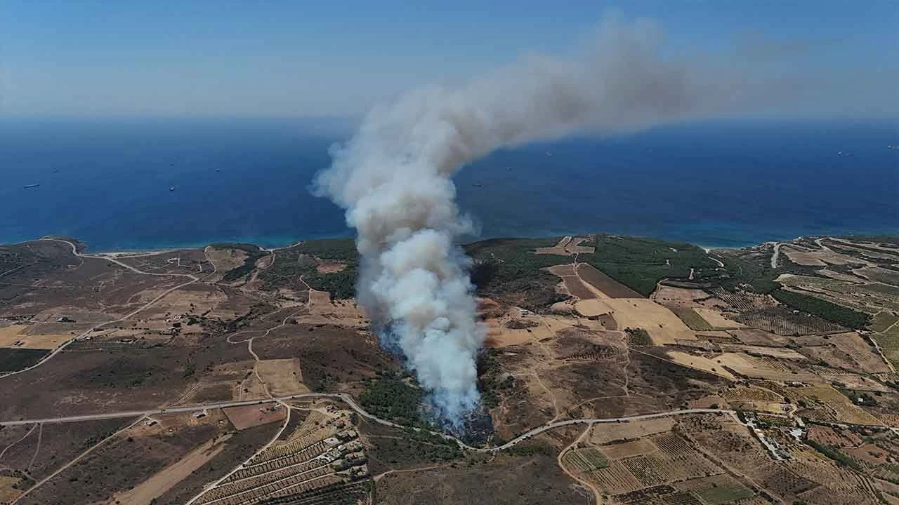 Bozcaada'da otluk alanı ateşe veren kişi güvenlik kamerasına yakalandı - 1. Resim