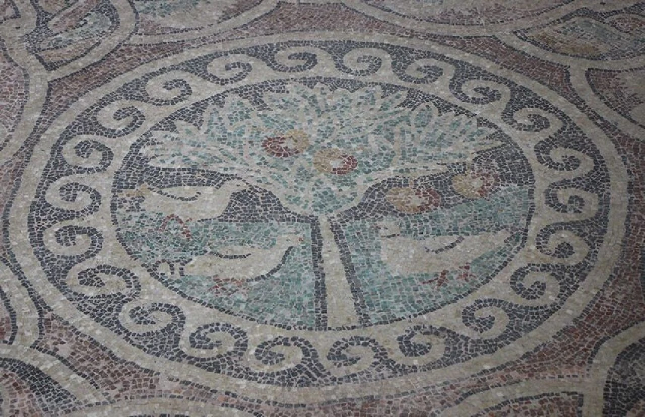 Dünya üzerinde sadece Türkiye’de bulunuyor! Üstünde elma ağacı olan tek antik mozaik ilgi çekti