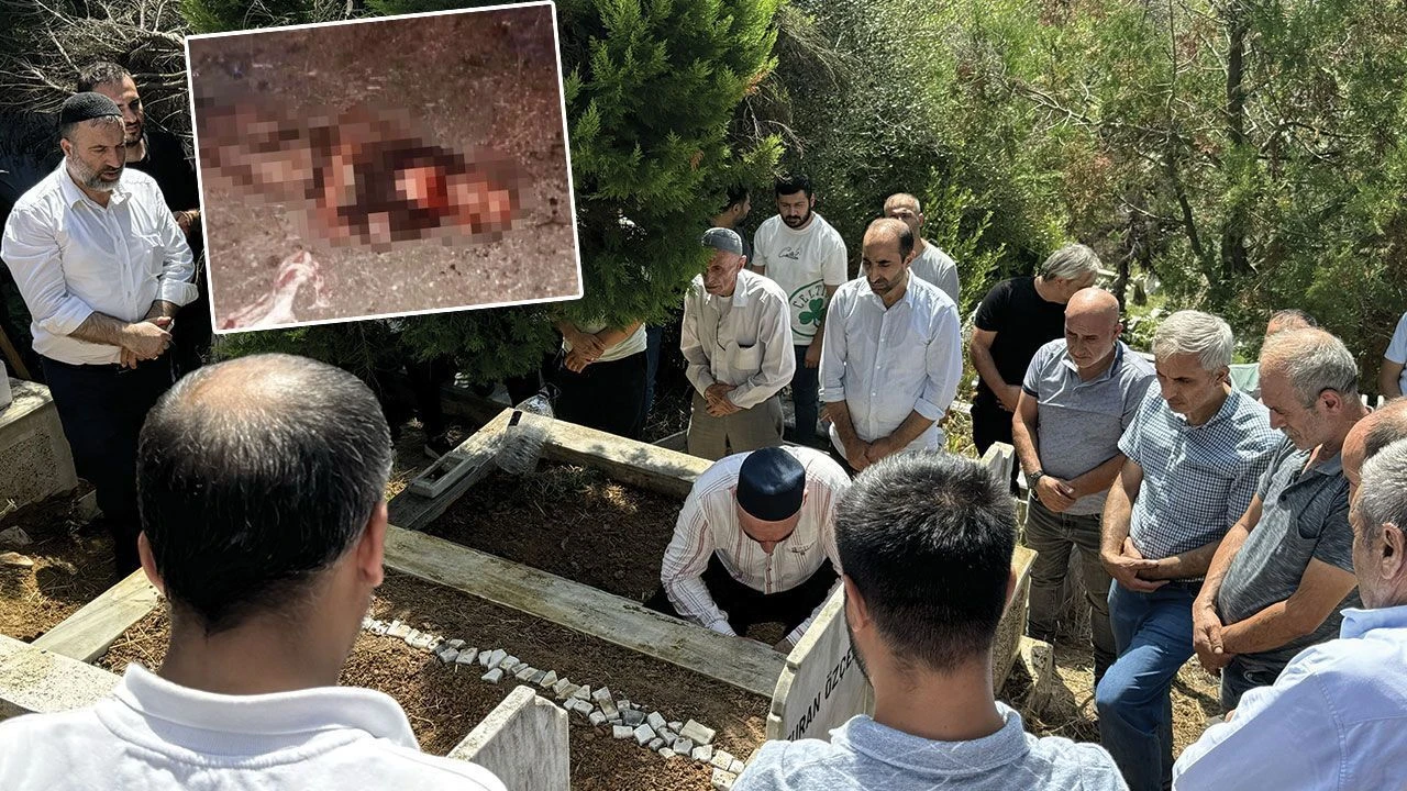 Fatih'te bir kişiyi öldüren sahipsiz köpek olayı sonrası belediyeden açıklama: Özel mülkte gerçekleşti - 2. Resim