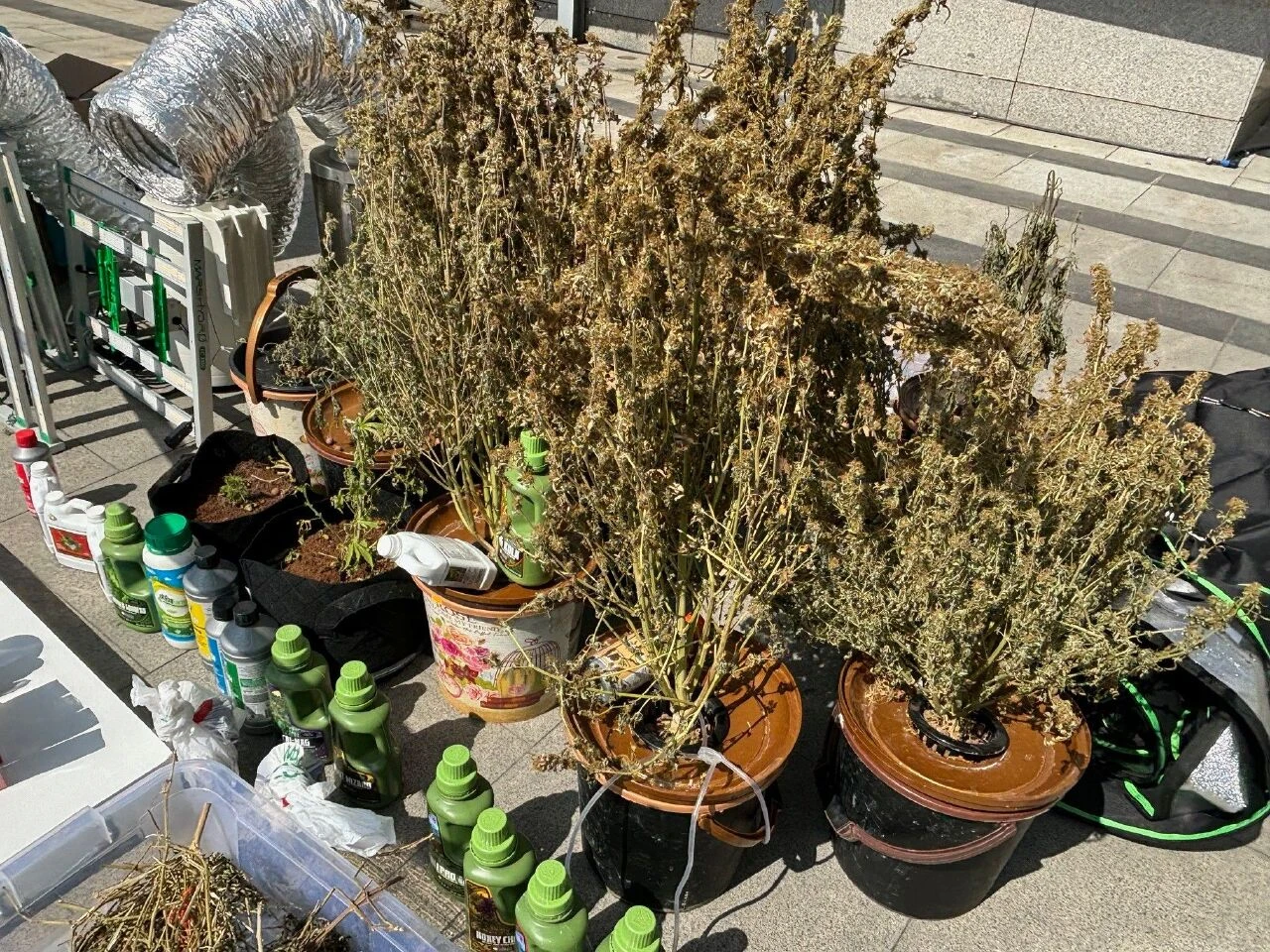 Piyasa değeri yaklaşık 40 milyon TL! İstanbul'da ilaç ve tıbbi cihaz operasyonu - 2. Resim