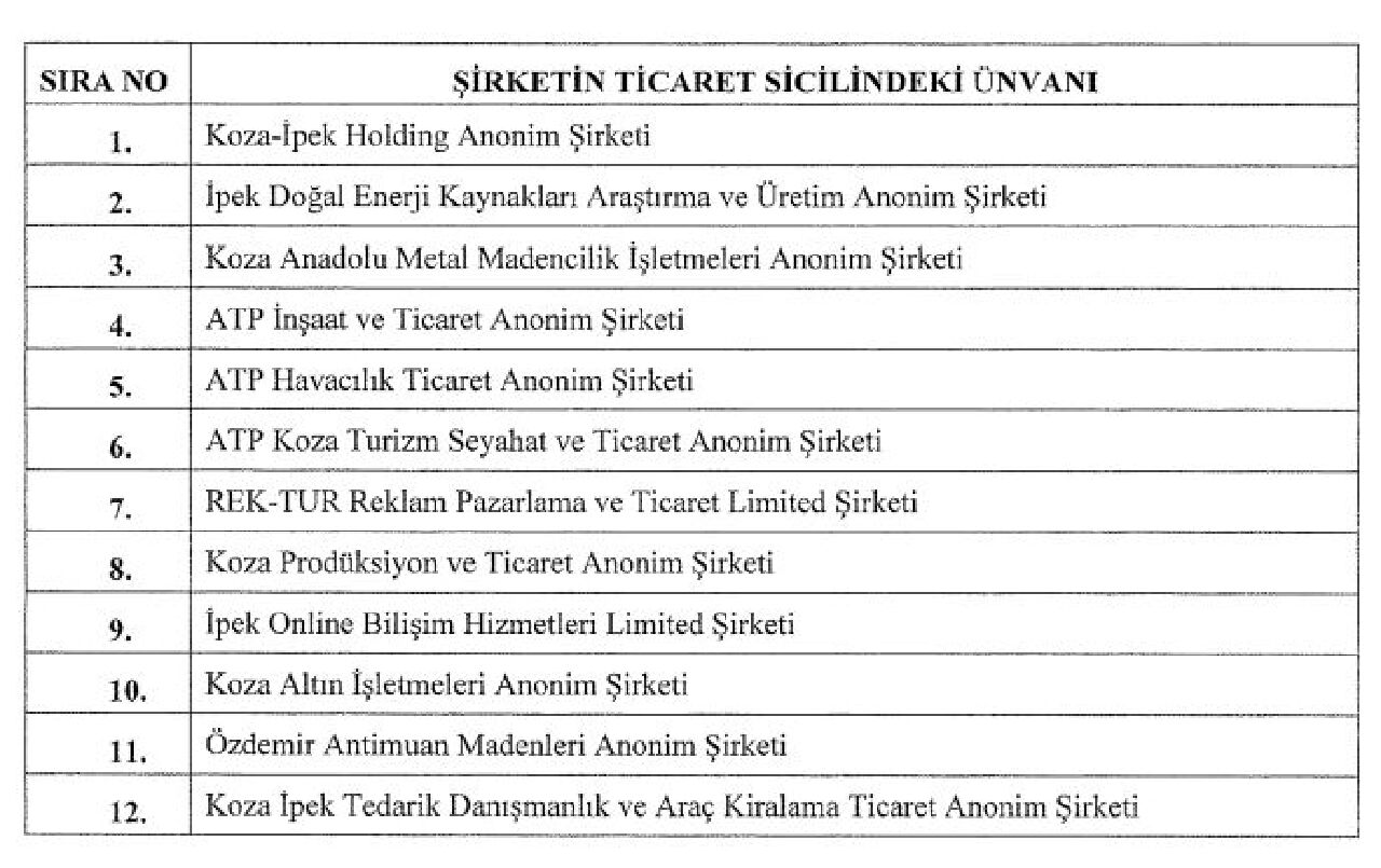 Son dakika | Resmi Gazete'de yayımlandı: 12 şirketin hisseleri Türkiye Varlık Fonu'na aktarıldı! - 1. Resim