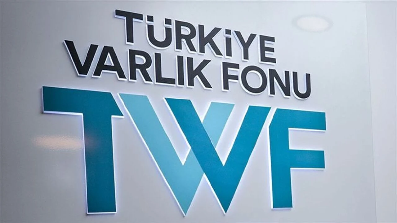 Türkiye Varlık Fonu, 12 şirketin hisselerini portföyüne ekledi - 1. Resim