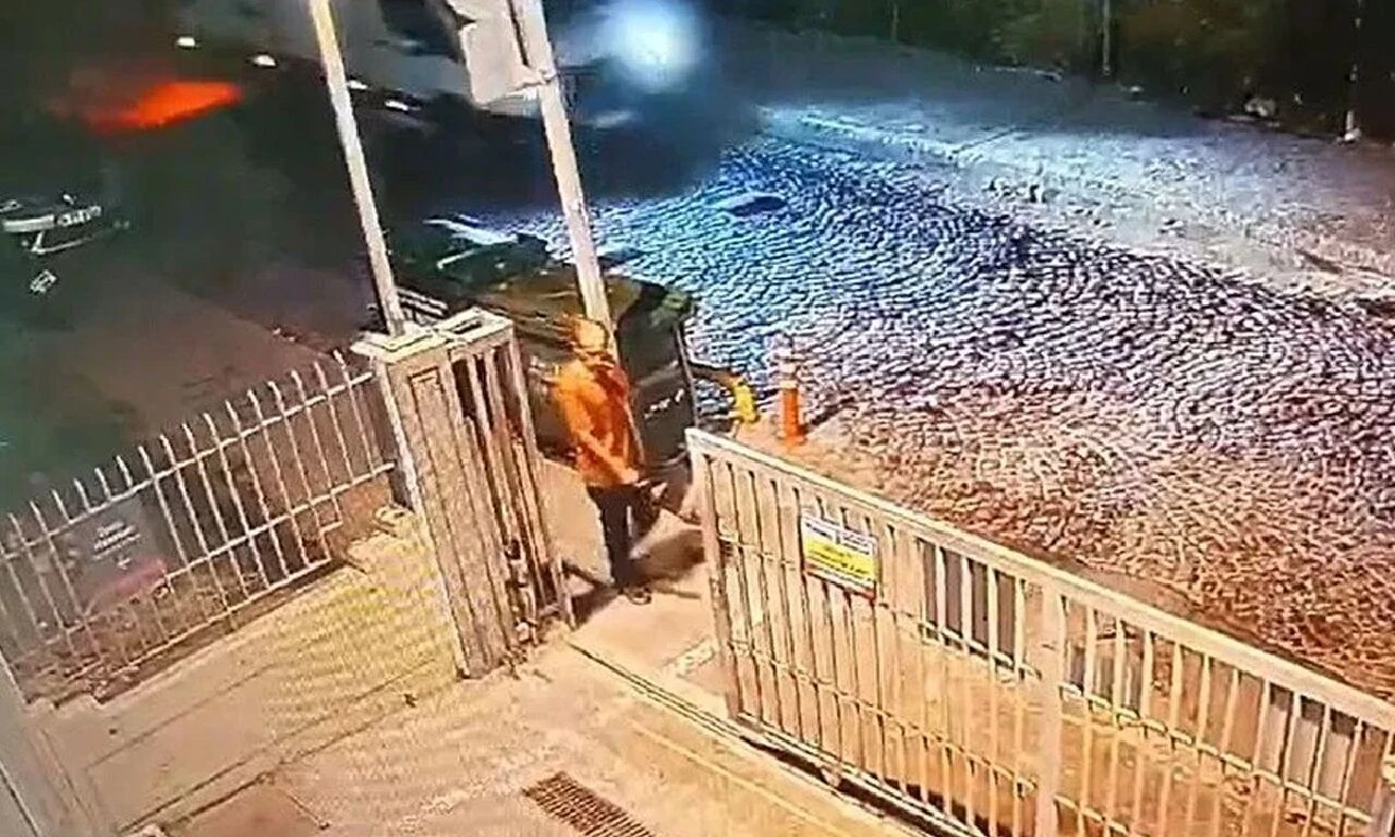 Ayhan Özçelik'in raporu ortaya çıktı! Detaylar kan dondurdu: İstanbul Fatih'te başıboş sokak köpekleri öldürmüştü