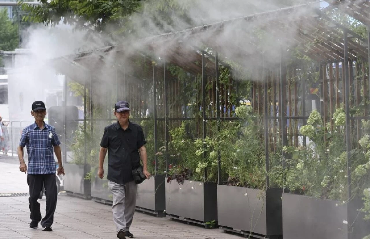 Güney Kore'de aşırı sıcaklar öldürüyor! Onlarca insan, yüz binlerce hayvan öldü - 2. Resim