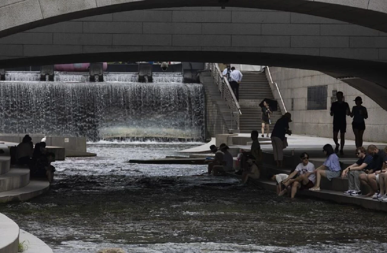 Güney Kore'de aşırı sıcaklar öldürüyor! Onlarca insan, yüz binlerce hayvan öldü - 1. Resim
