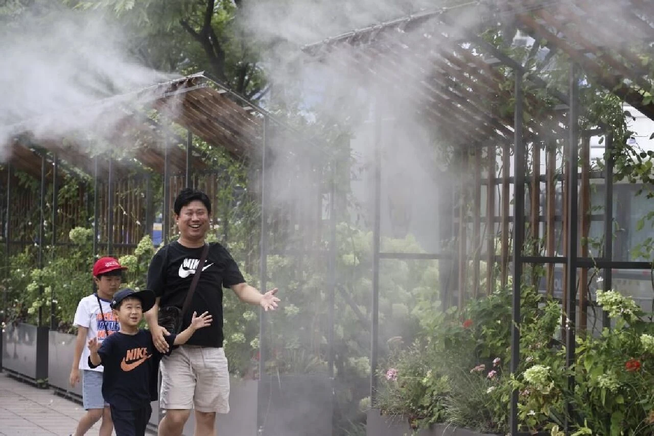 Güney Kore'de aşırı sıcaklar öldürüyor! Onlarca insan, yüz binlerce hayvan öldü - 3. Resim