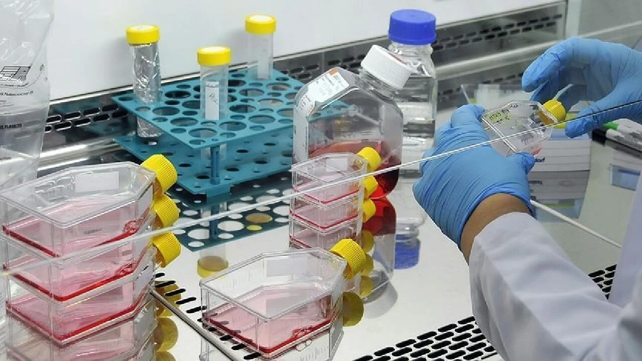 İlaç sanayicileri ile Hazine ve Maliye Bakanlığı anlaşamadı! İlaç krizi kapıda