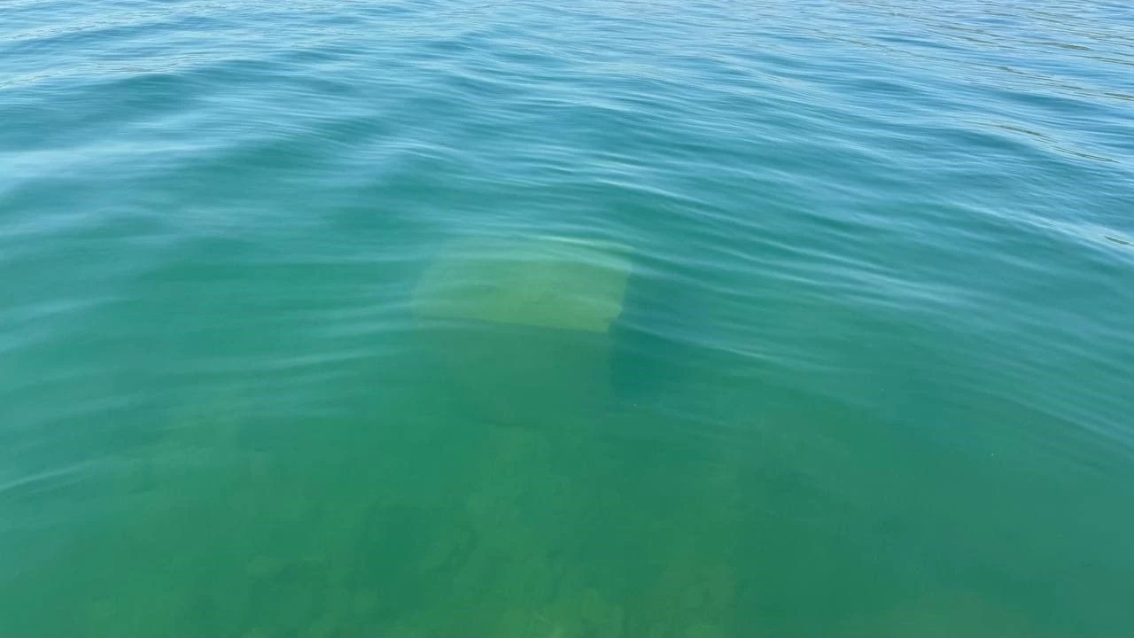 İznik Gölü'nde esrarengiz cismi vatandaş buldu! Ekipler harekete geçti - 1. Resim