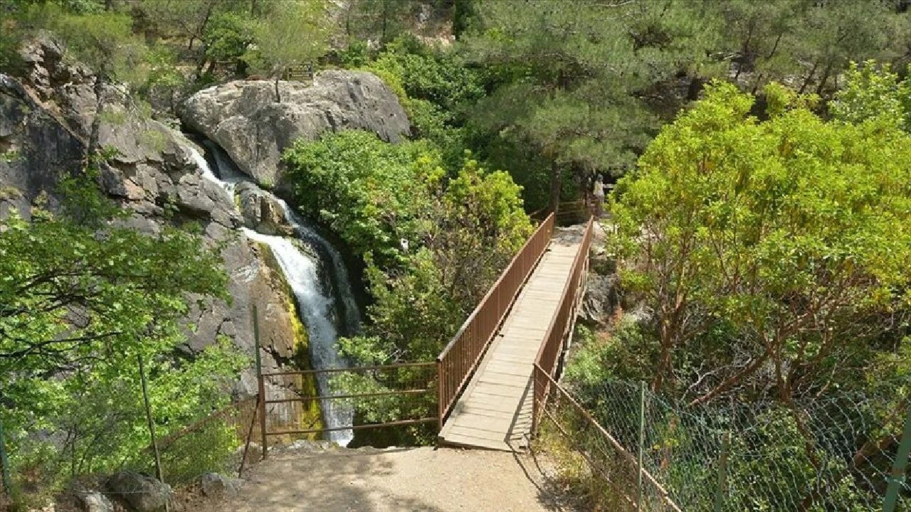 Kazdağları Milli Parkı'na girişler 31 Ekim'e kadar yasaklandı - 1. Resim