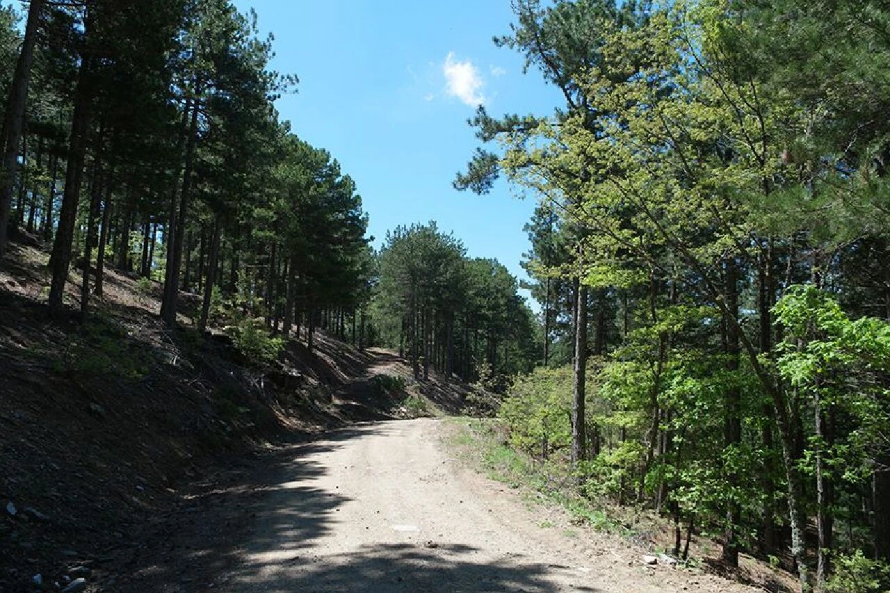 Kazdağları Milli Parkı'na girişler 31 Ekim'e kadar yasaklandı - 2. Resim