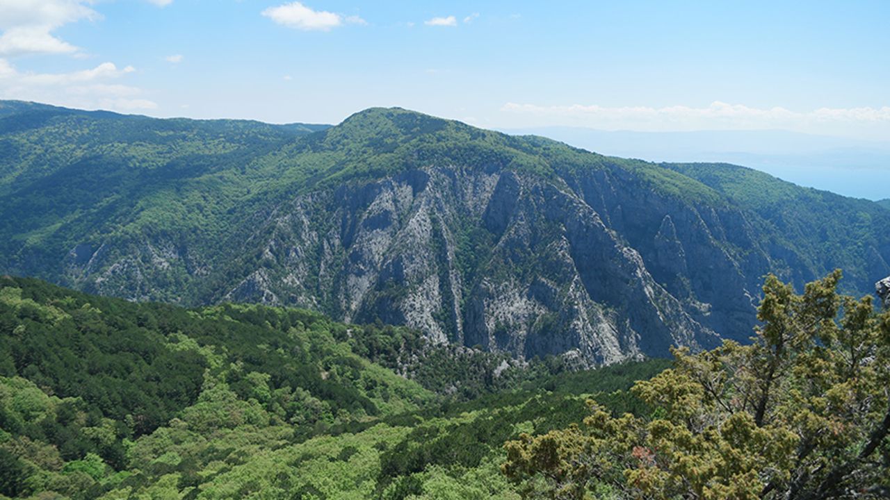 Kazdağları Milli Parkı&#039;na girişler 31 Ekim&#039;e kadar yasaklandı