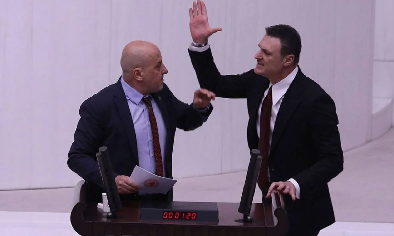 Son dakika | MHP lideri Devlet Bahçeli, DEM Parti için 4 öneri sundu: Dikkat çeken 'haşarat' detayı - 2. Resim