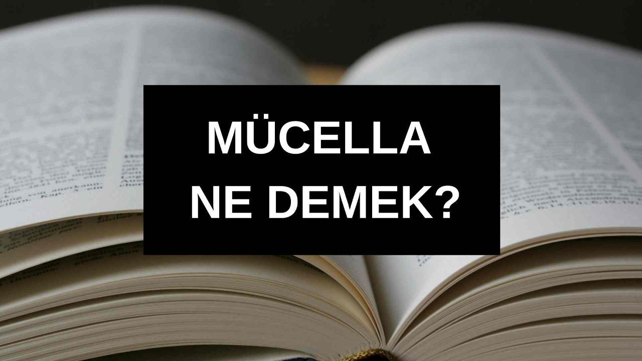 Wilma Elles’in seçtiği Mücella isminin anlamı parlamaya işaret ediyor